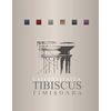 Tibiscus University from Timisoara